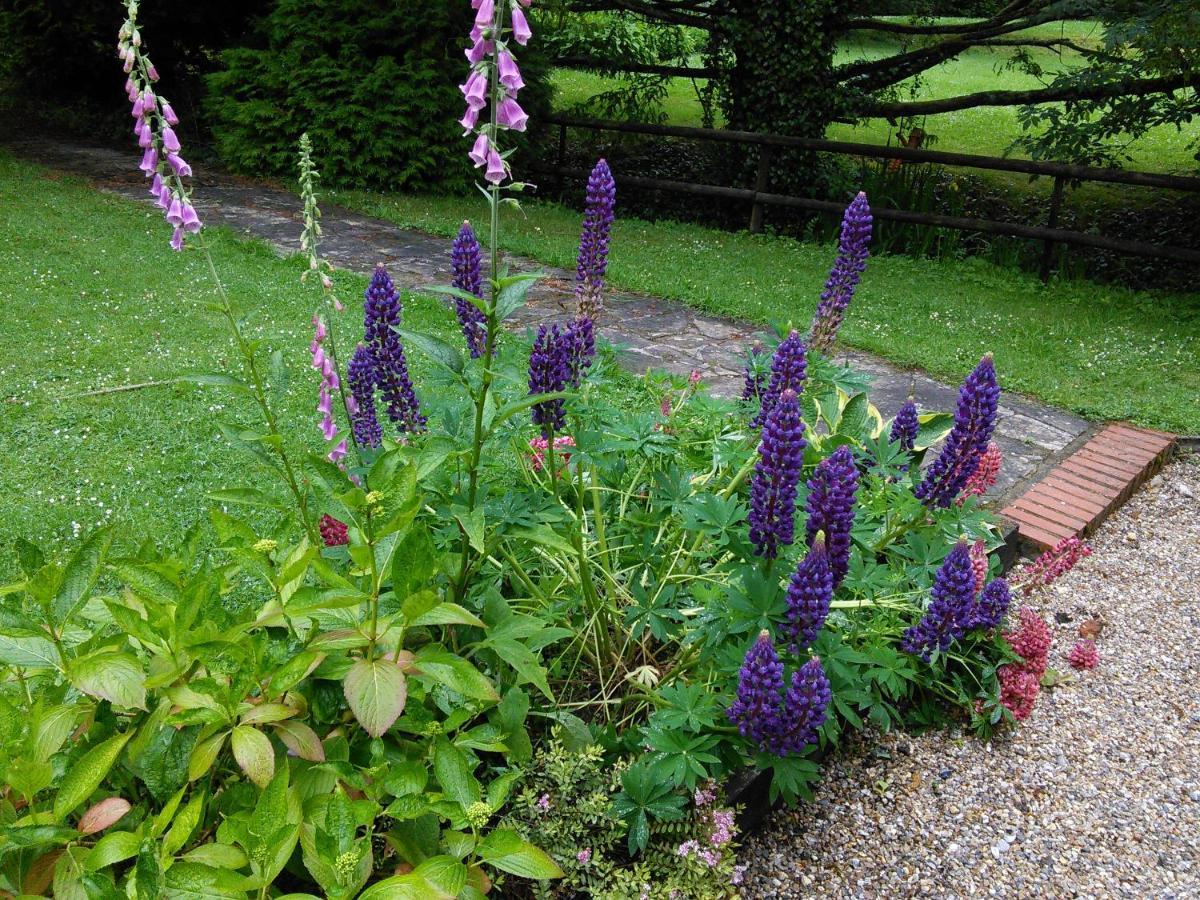 Felbrigg Lodge Bed And Breakfast Aylmerton Екстер'єр фото